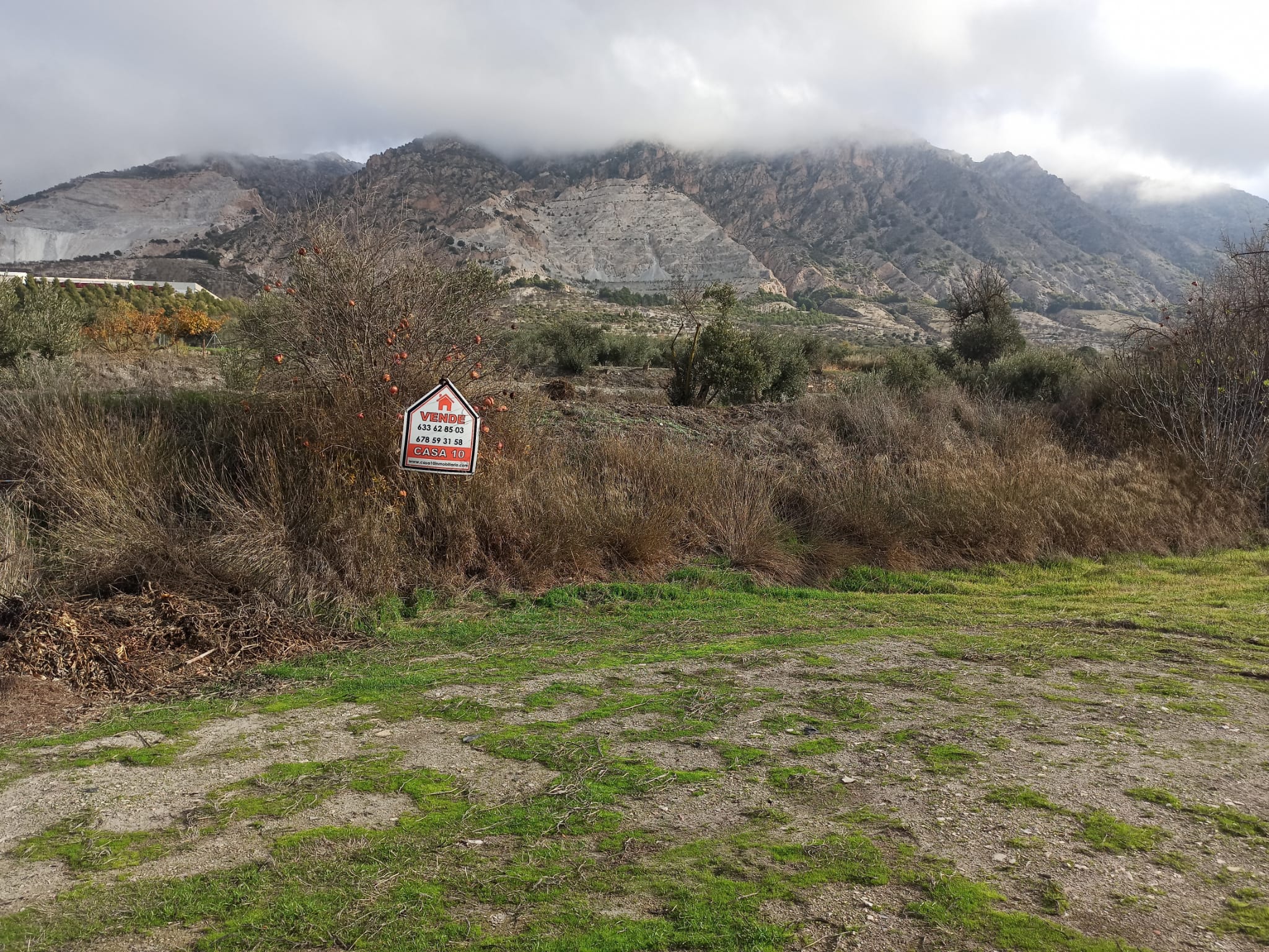 DÚRCAL finca MORANJA